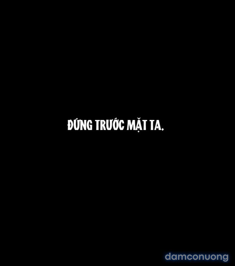 Chuyến Đi Đêm Cùng Nhà Vua 
