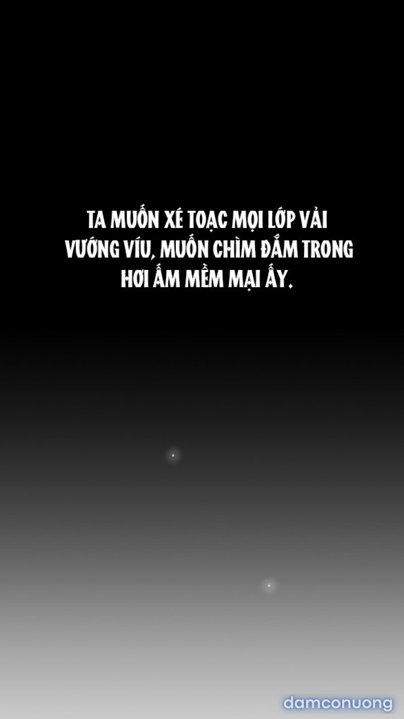 Chuyến Đi Đêm Cùng Nhà Vua 