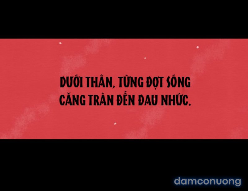 Chuyến Đi Đêm Cùng Nhà Vua 