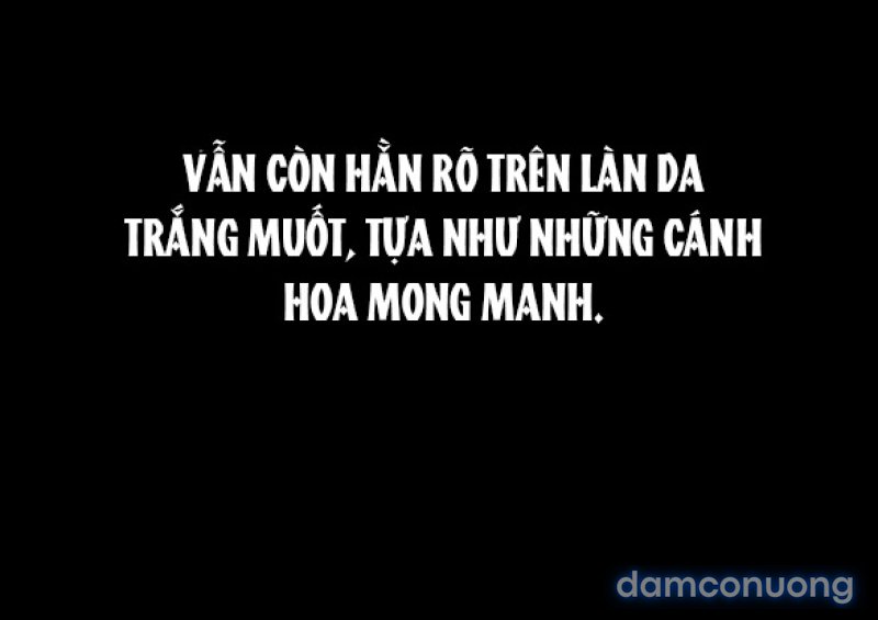 Chuyến Đi Đêm Cùng Nhà Vua 