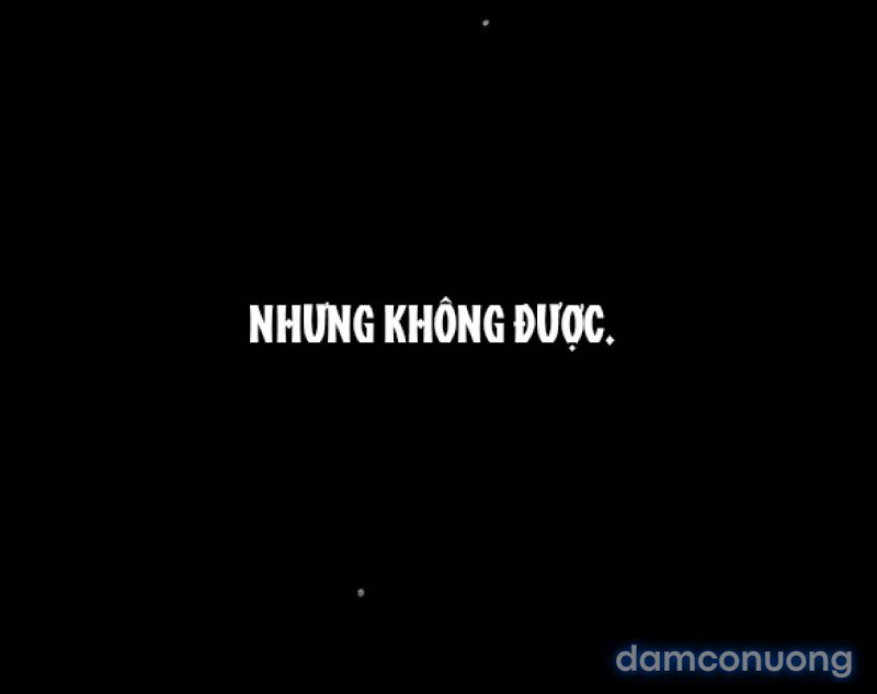Chuyến Đi Đêm Cùng Nhà Vua 