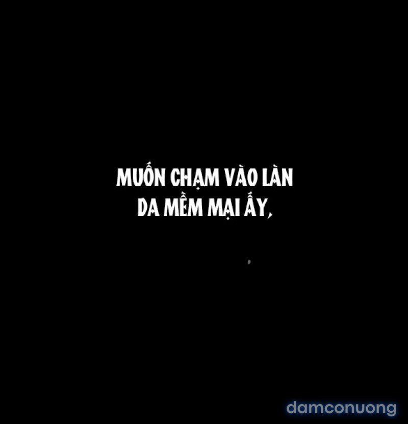 Chuyến Đi Đêm Cùng Nhà Vua 