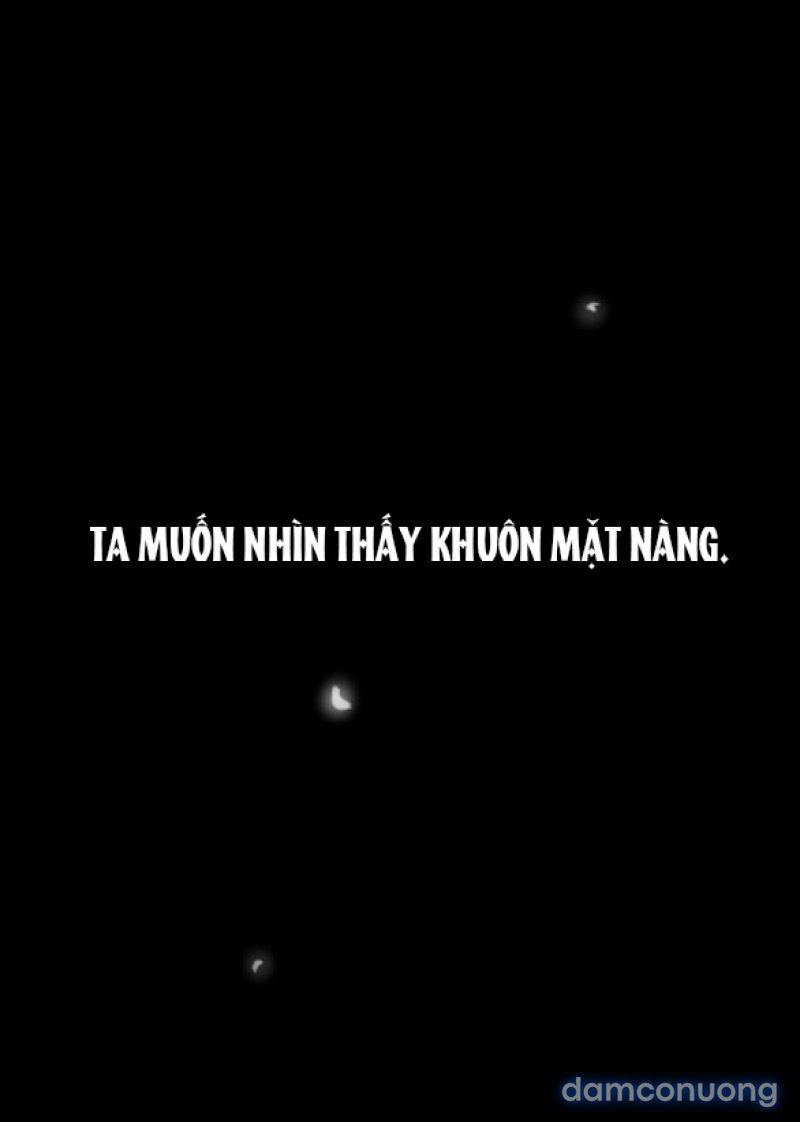 Chuyến Đi Đêm Cùng Nhà Vua 