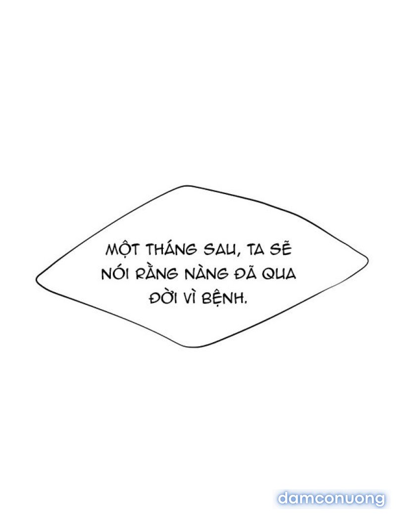 Chuyến Đi Đêm Cùng Nhà Vua 
