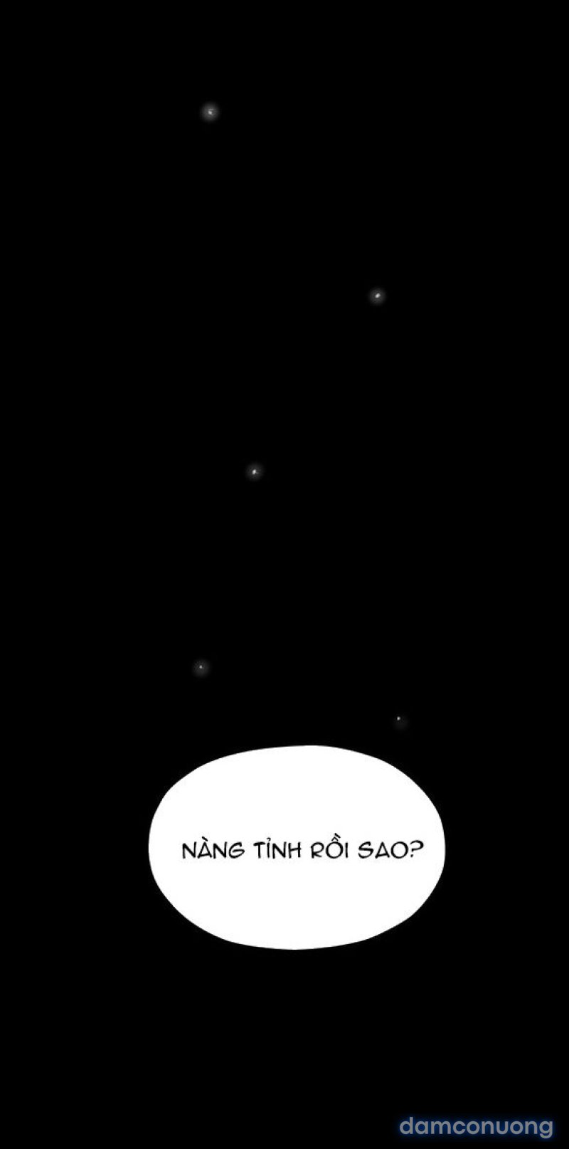 Chuyến Đi Đêm Cùng Nhà Vua 