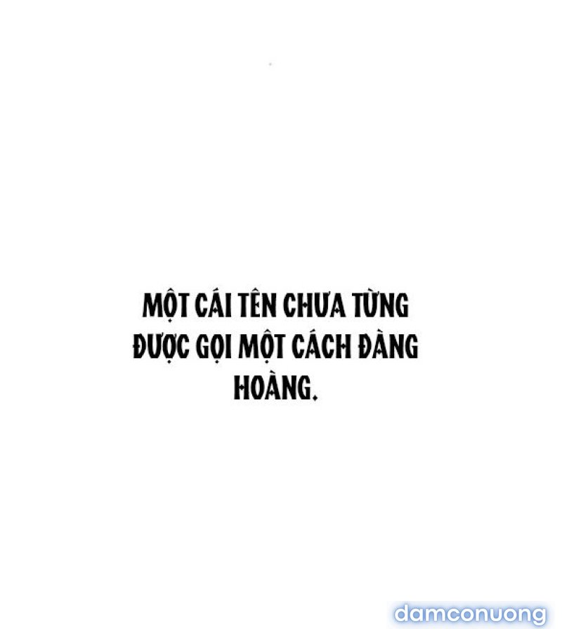Chuyến Đi Đêm Cùng Nhà Vua 
