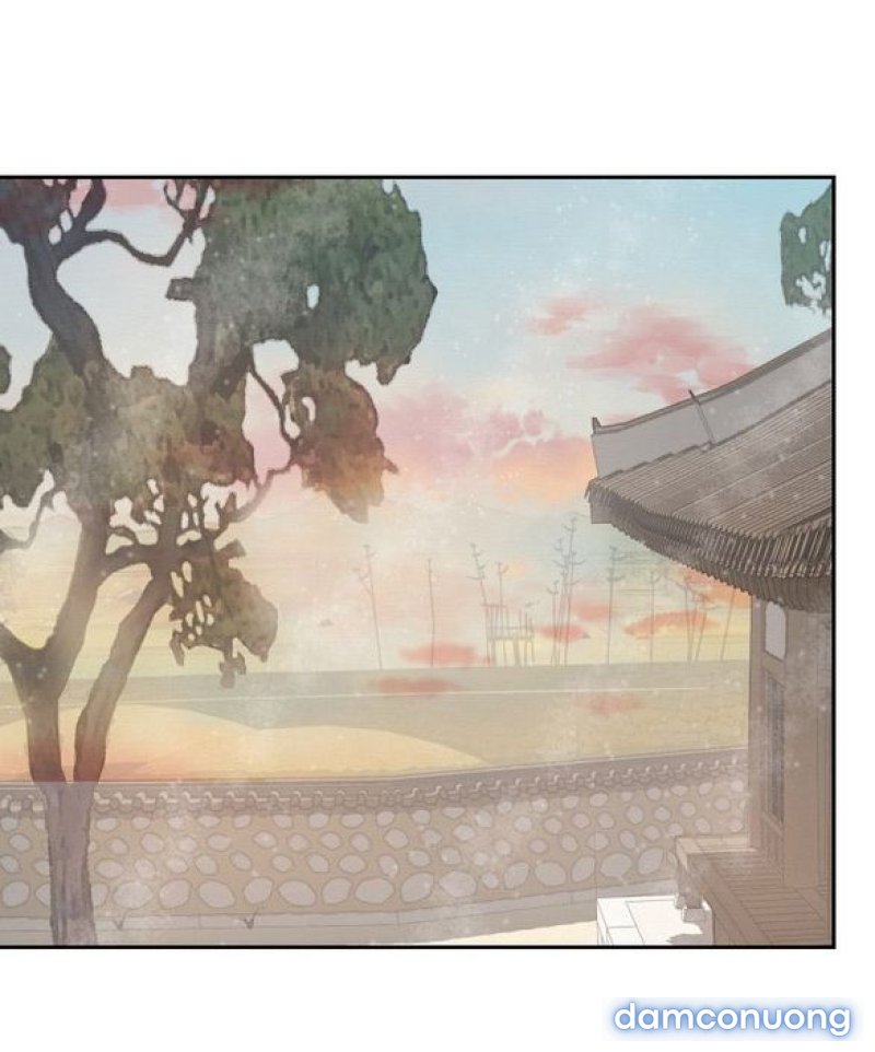 Chuyến Đi Đêm Cùng Nhà Vua 
