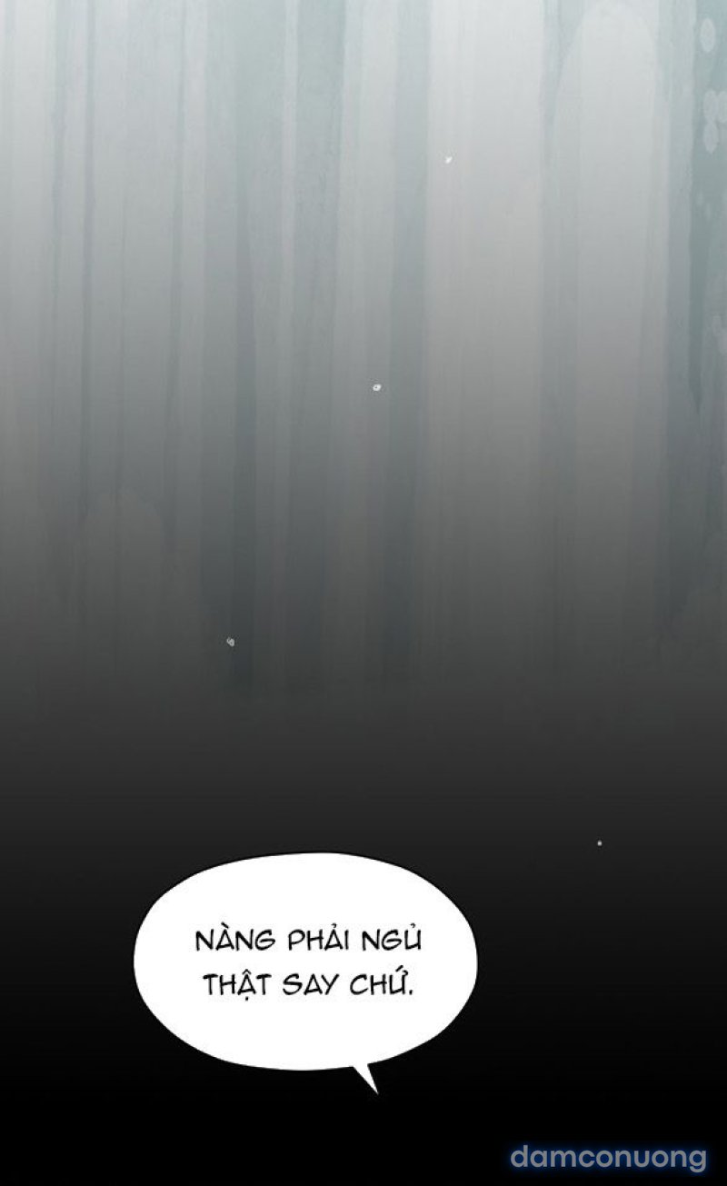 Chuyến Đi Đêm Cùng Nhà Vua 