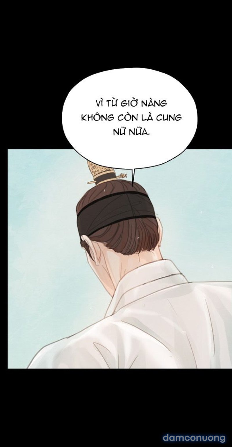 Chuyến Đi Đêm Cùng Nhà Vua 