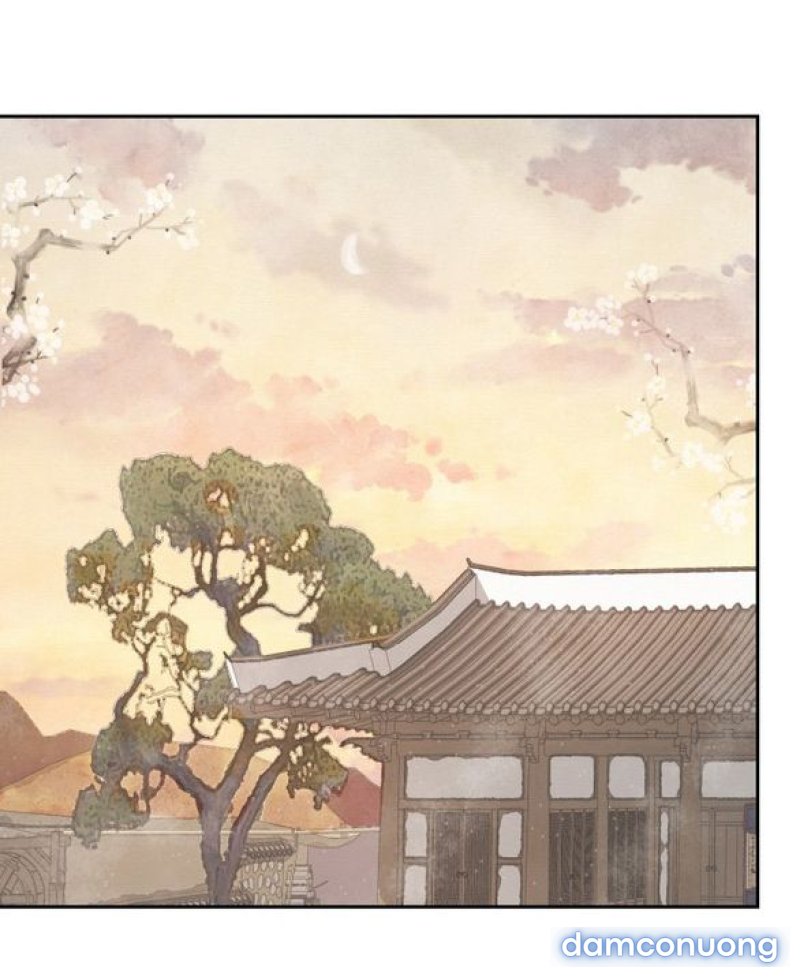 Chuyến Đi Đêm Cùng Nhà Vua 