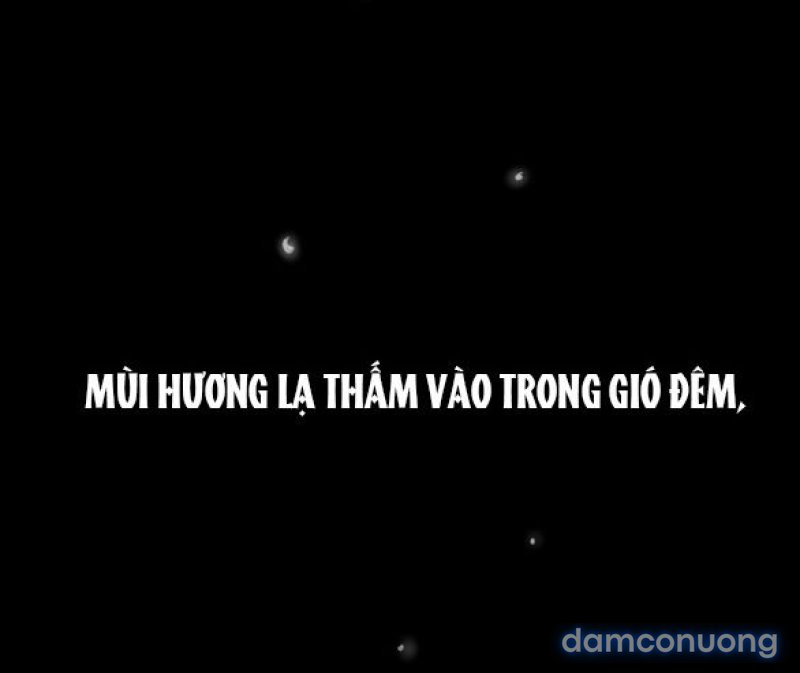 Chuyến Đi Đêm Cùng Nhà Vua 