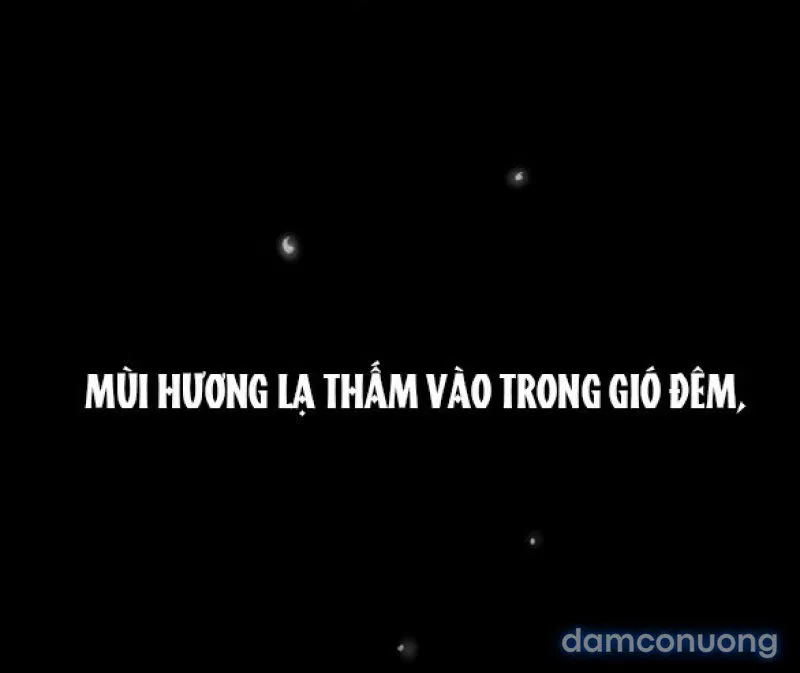 Chuyến Đi Đêm Cùng Nhà Vua 