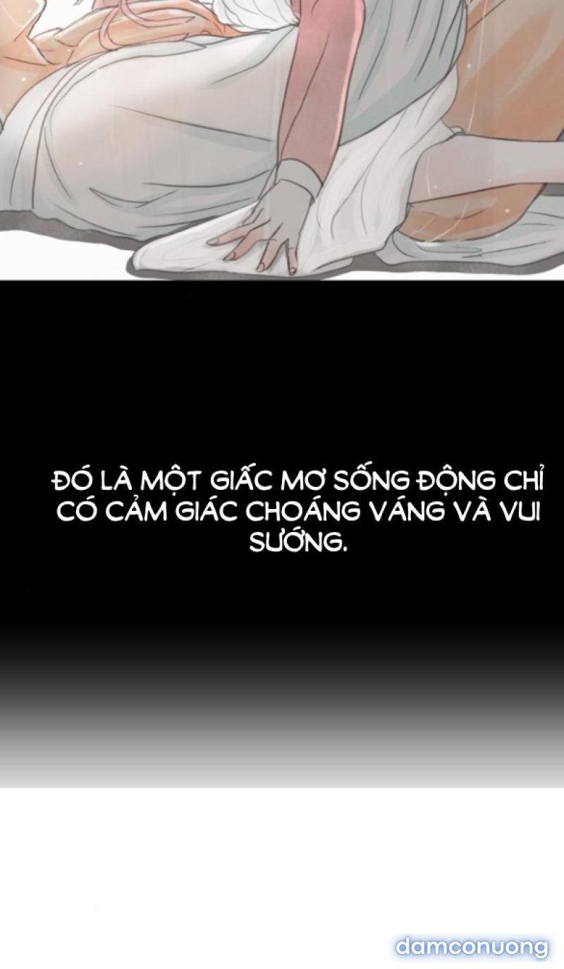 Chuyến Đi Đêm Cùng Nhà Vua 
