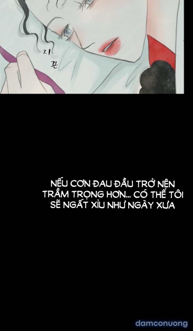 Chuyến Đi Đêm Cùng Nhà Vua 