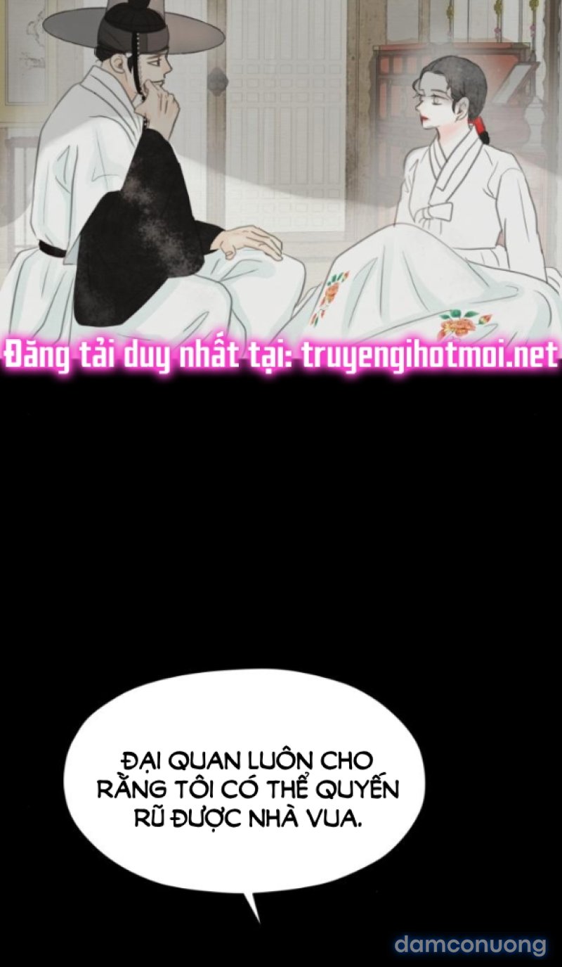 Chuyến Đi Đêm Cùng Nhà Vua 