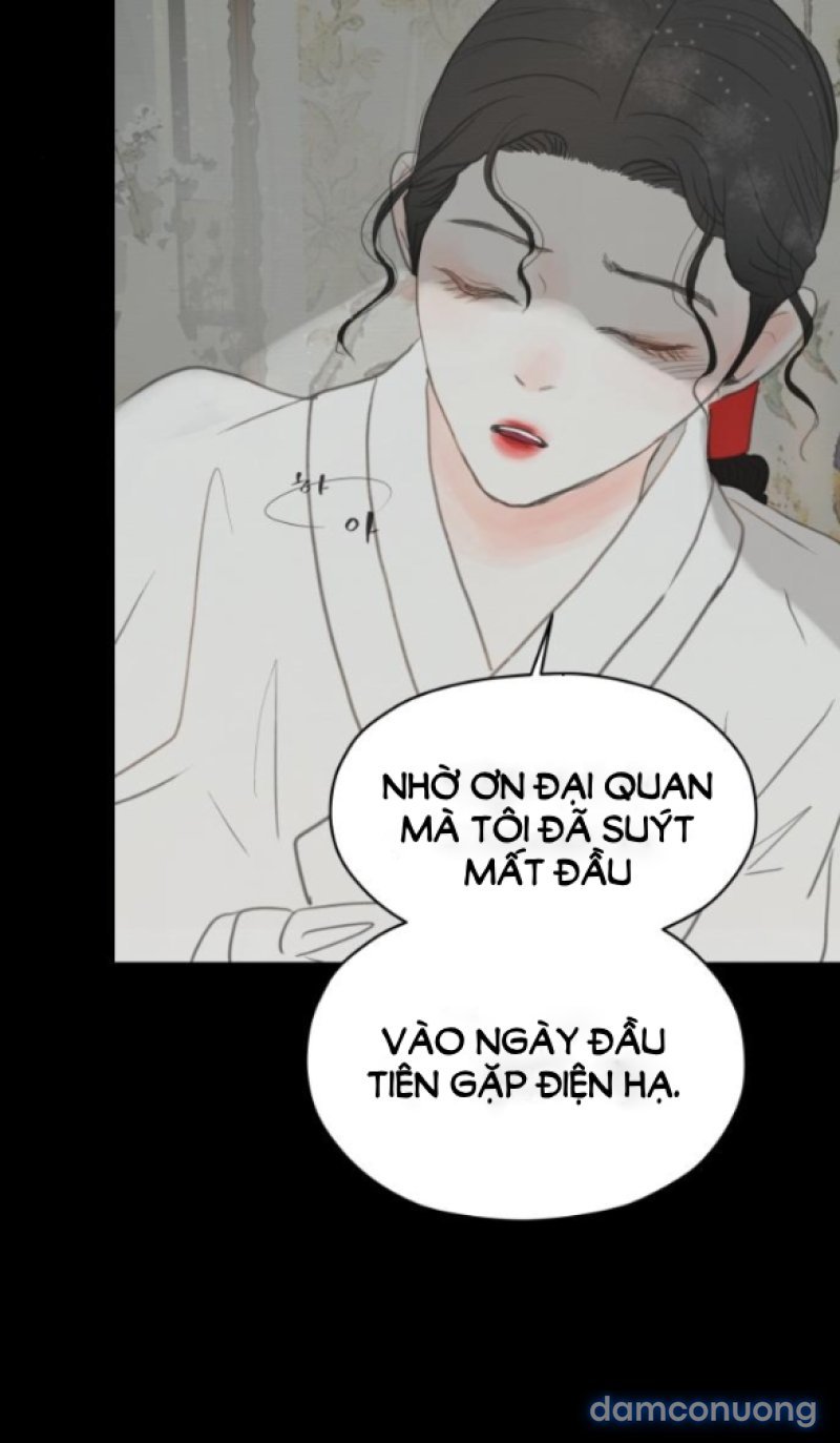 Chuyến Đi Đêm Cùng Nhà Vua 