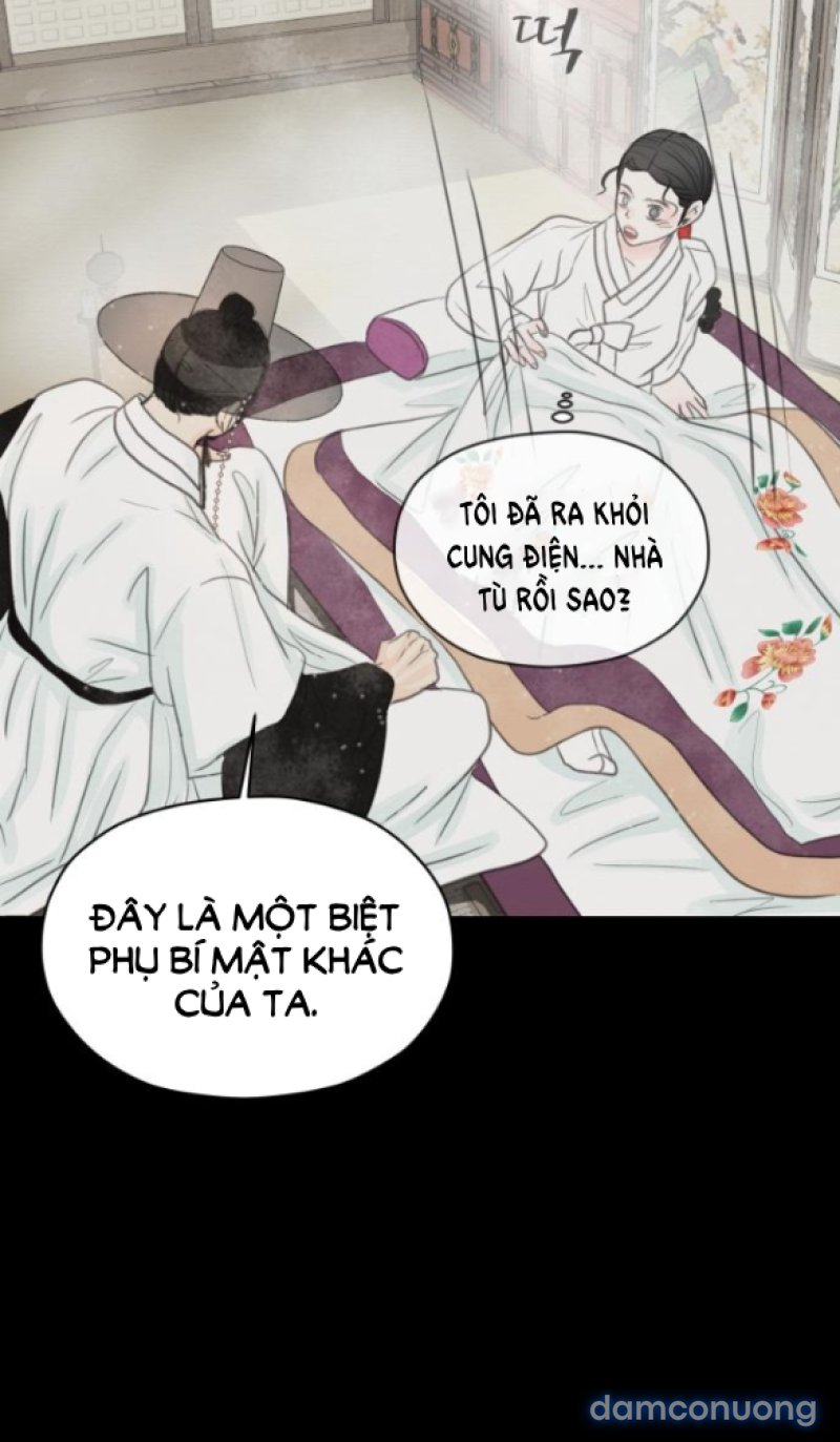 Chuyến Đi Đêm Cùng Nhà Vua 