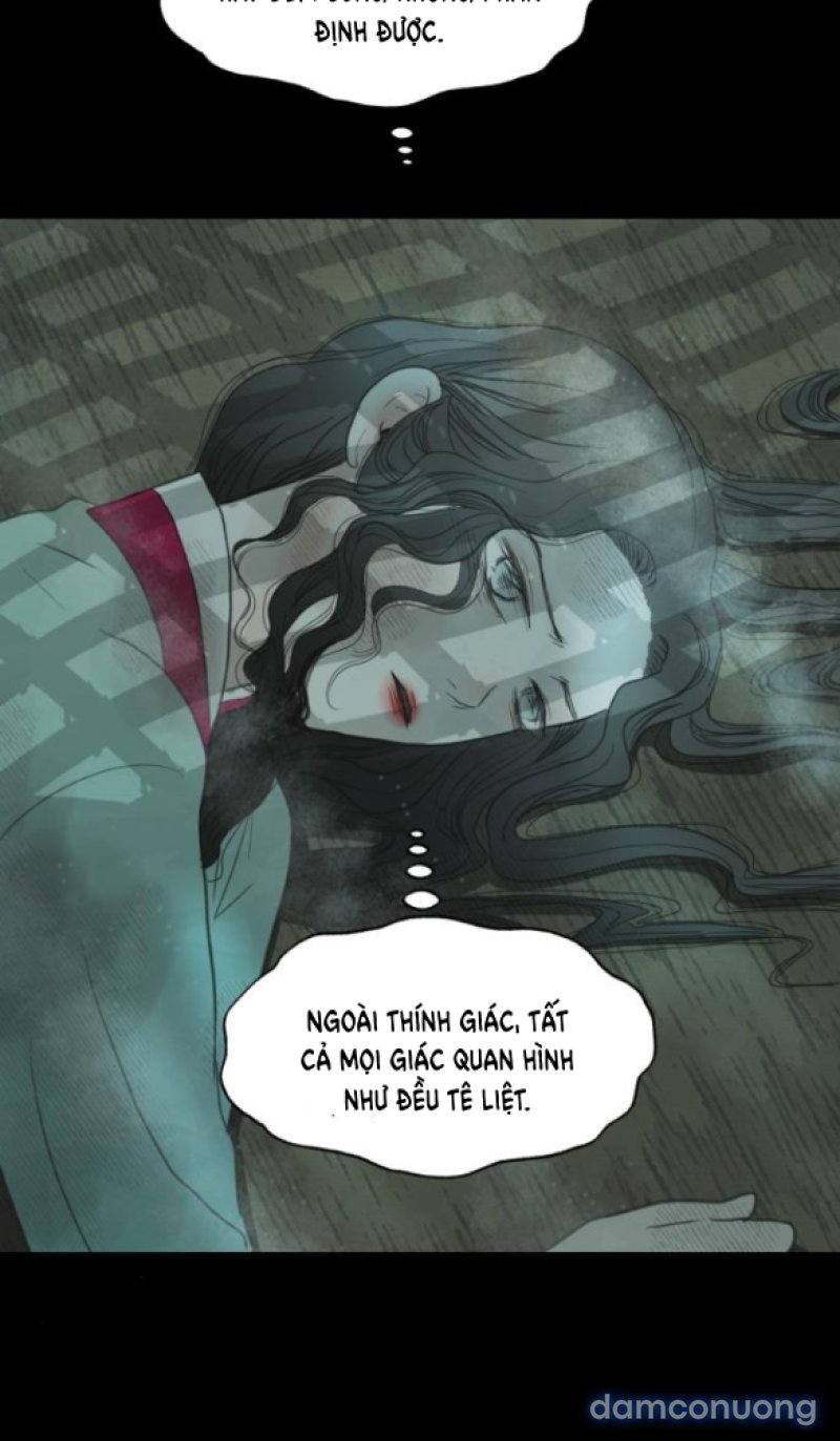 Chuyến Đi Đêm Cùng Nhà Vua 