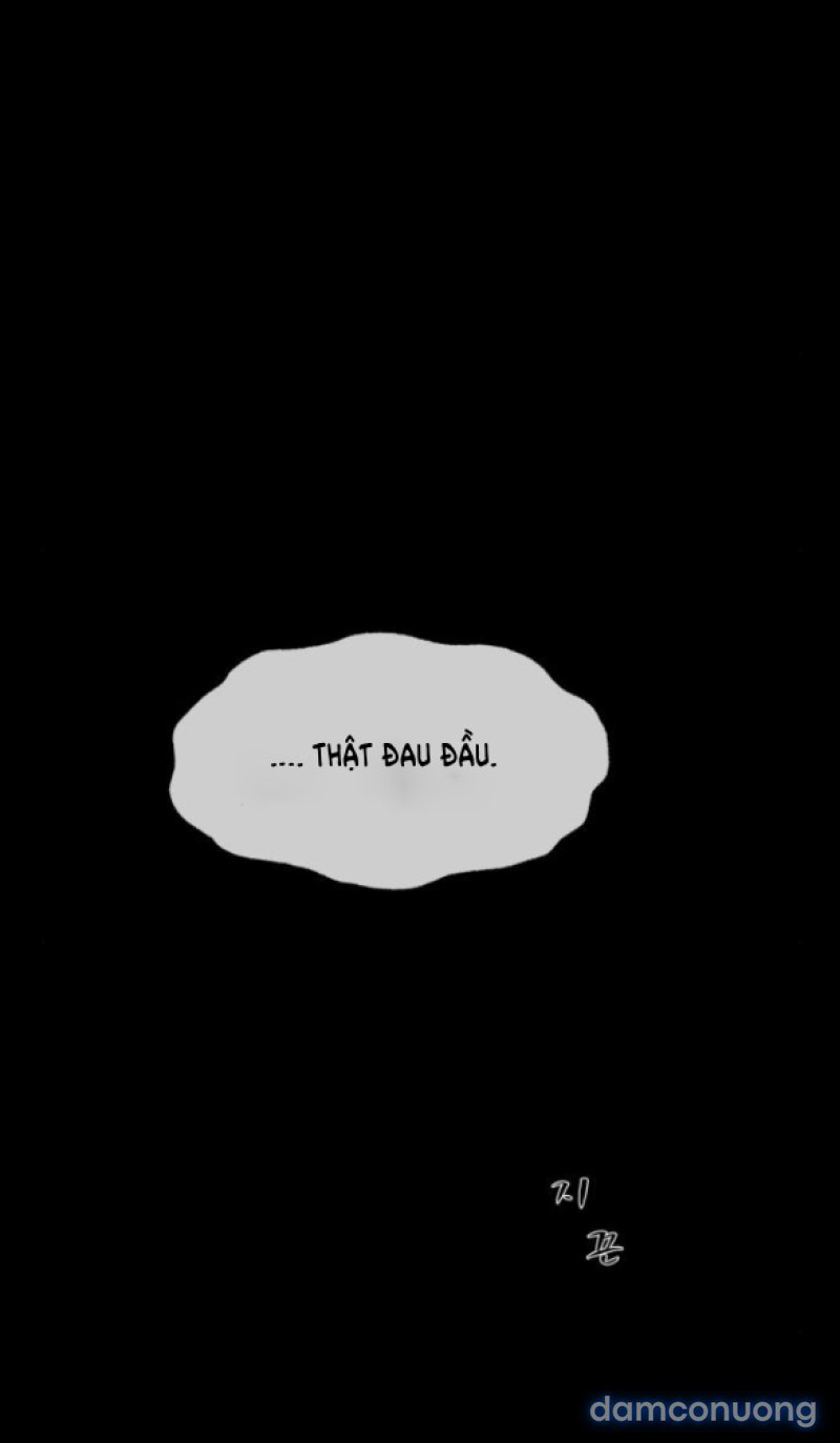 Chuyến Đi Đêm Cùng Nhà Vua 