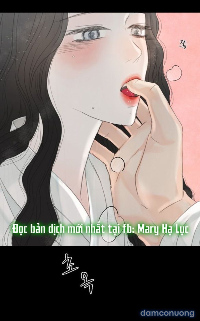 Chuyến Đi Đêm Cùng Nhà Vua 