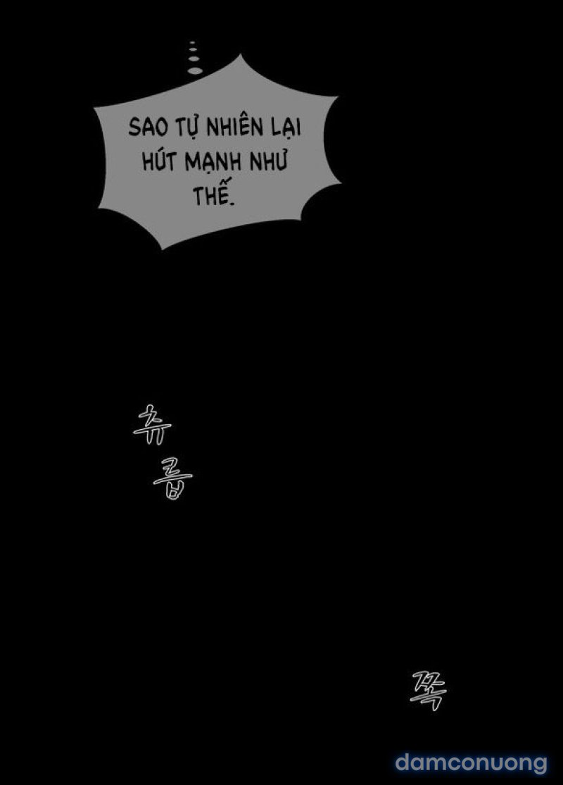 Chuyến Đi Đêm Cùng Nhà Vua 