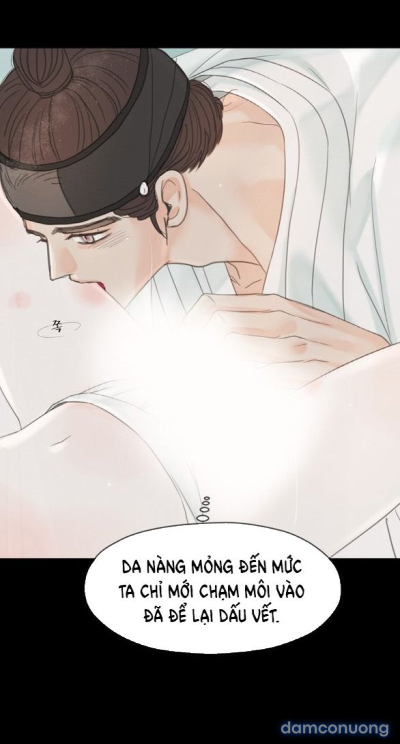 Chuyến Đi Đêm Cùng Nhà Vua 