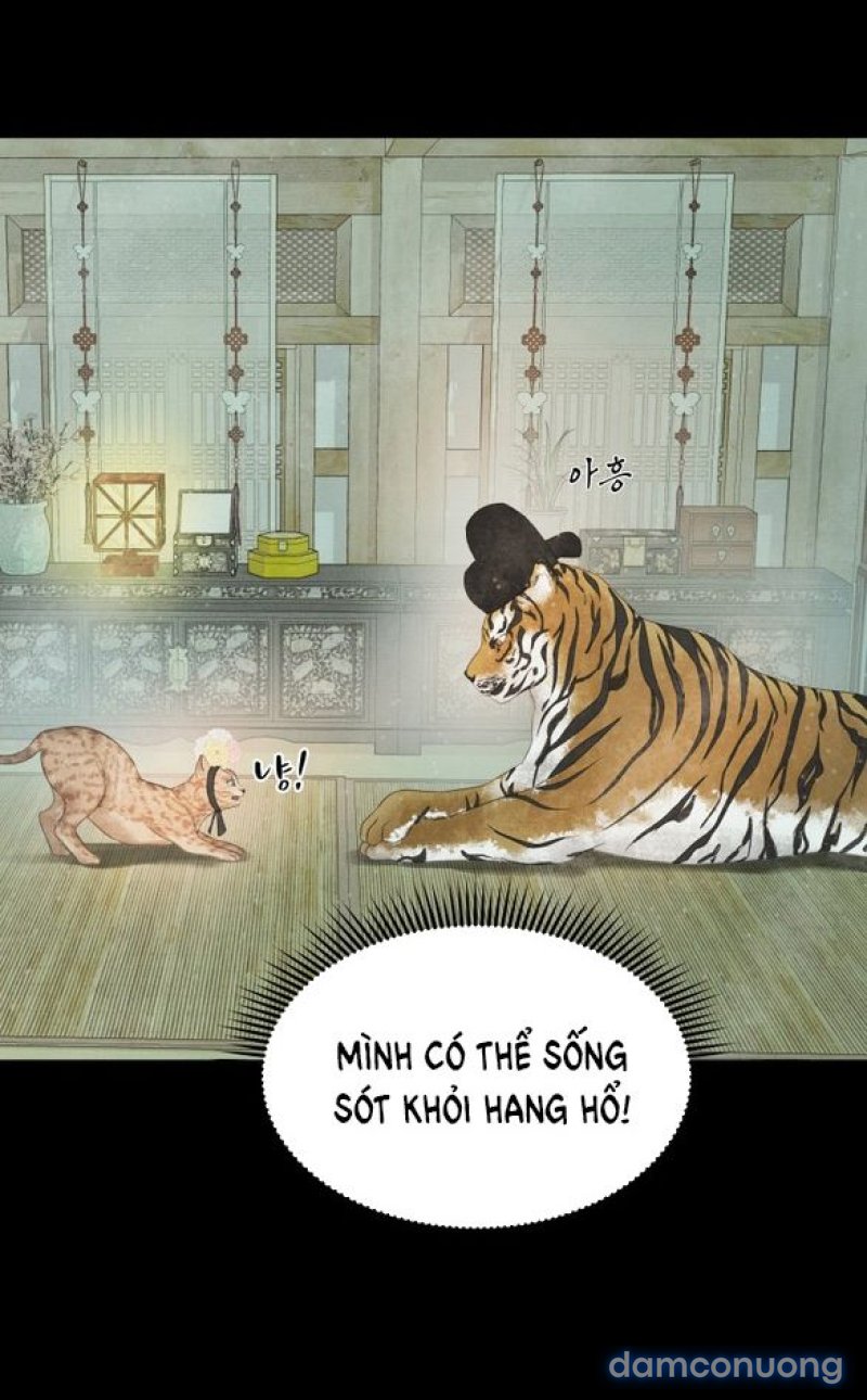 Chuyến Đi Đêm Cùng Nhà Vua 