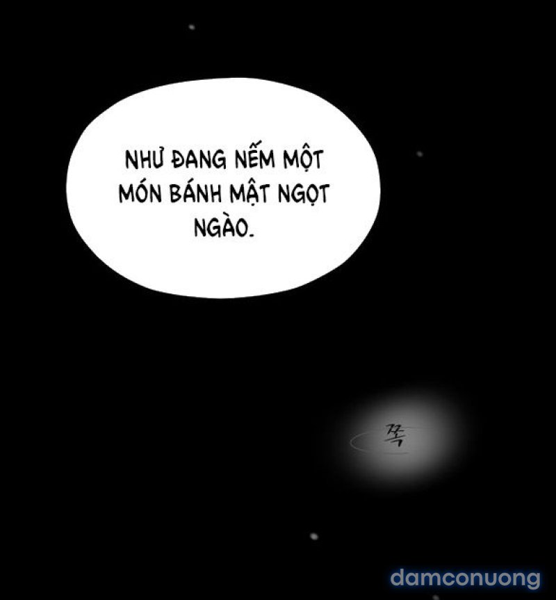 Chuyến Đi Đêm Cùng Nhà Vua 