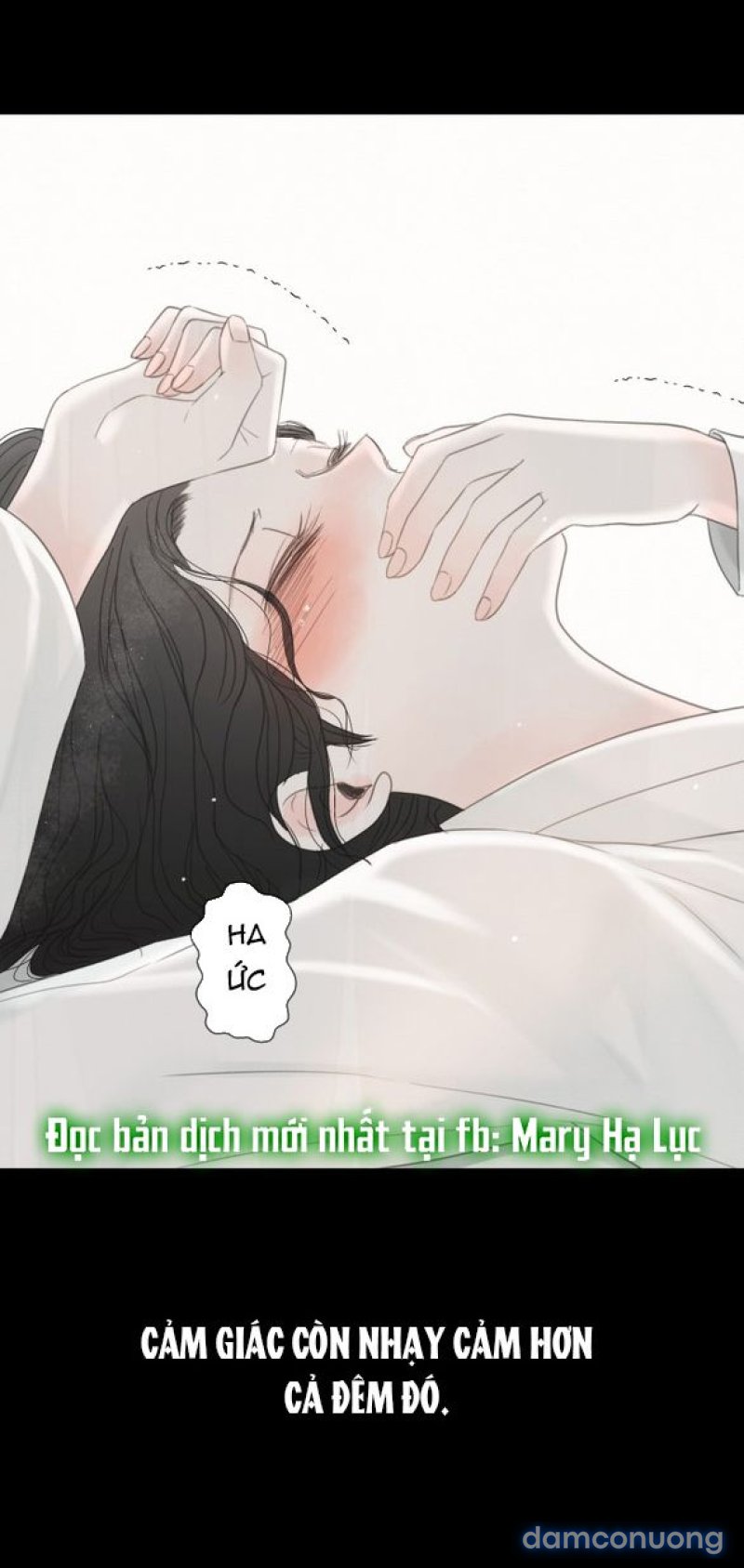 Chuyến Đi Đêm Cùng Nhà Vua 
