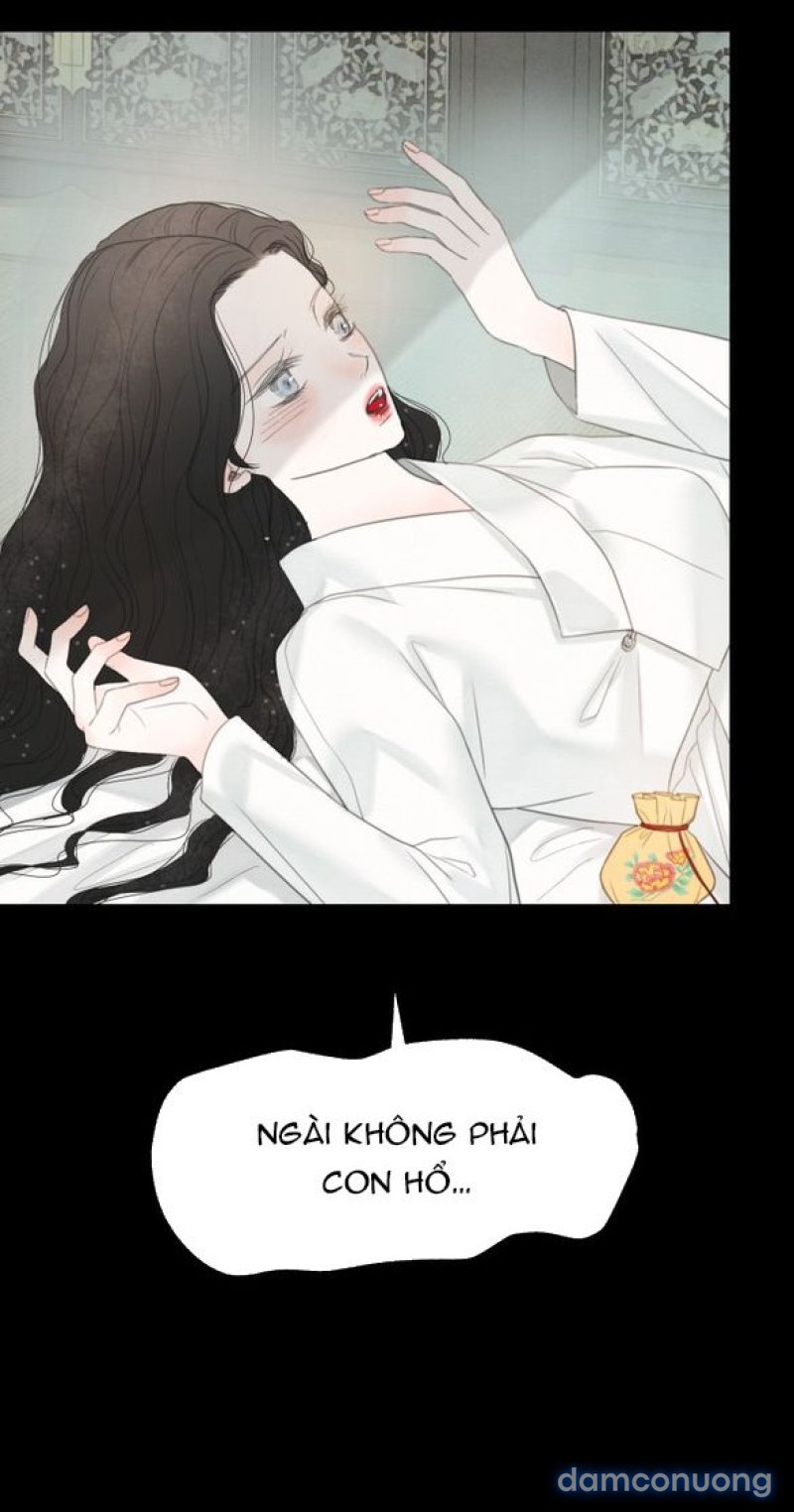 Chuyến Đi Đêm Cùng Nhà Vua 