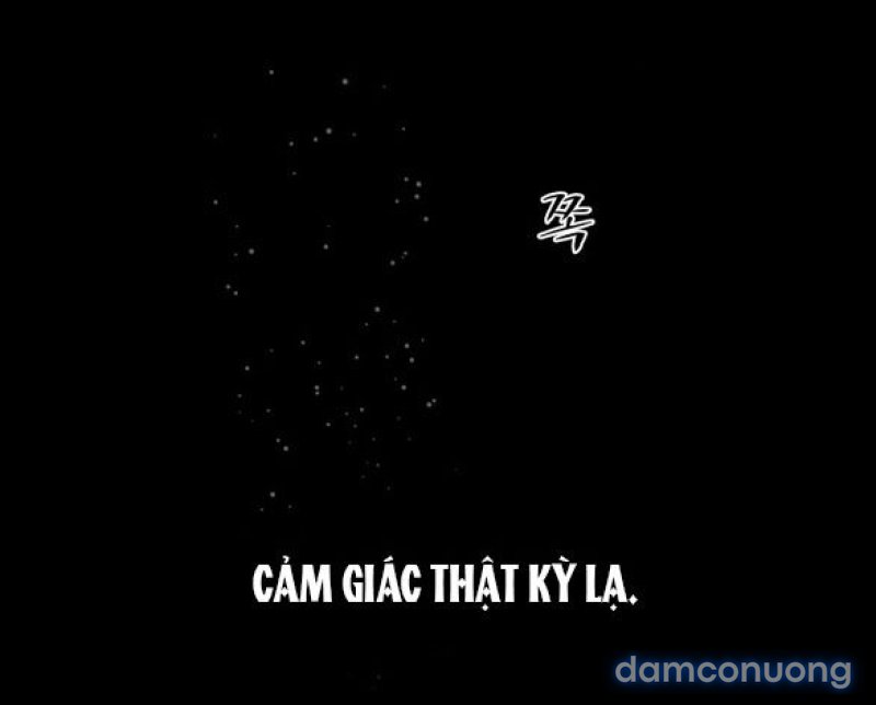 Chuyến Đi Đêm Cùng Nhà Vua 