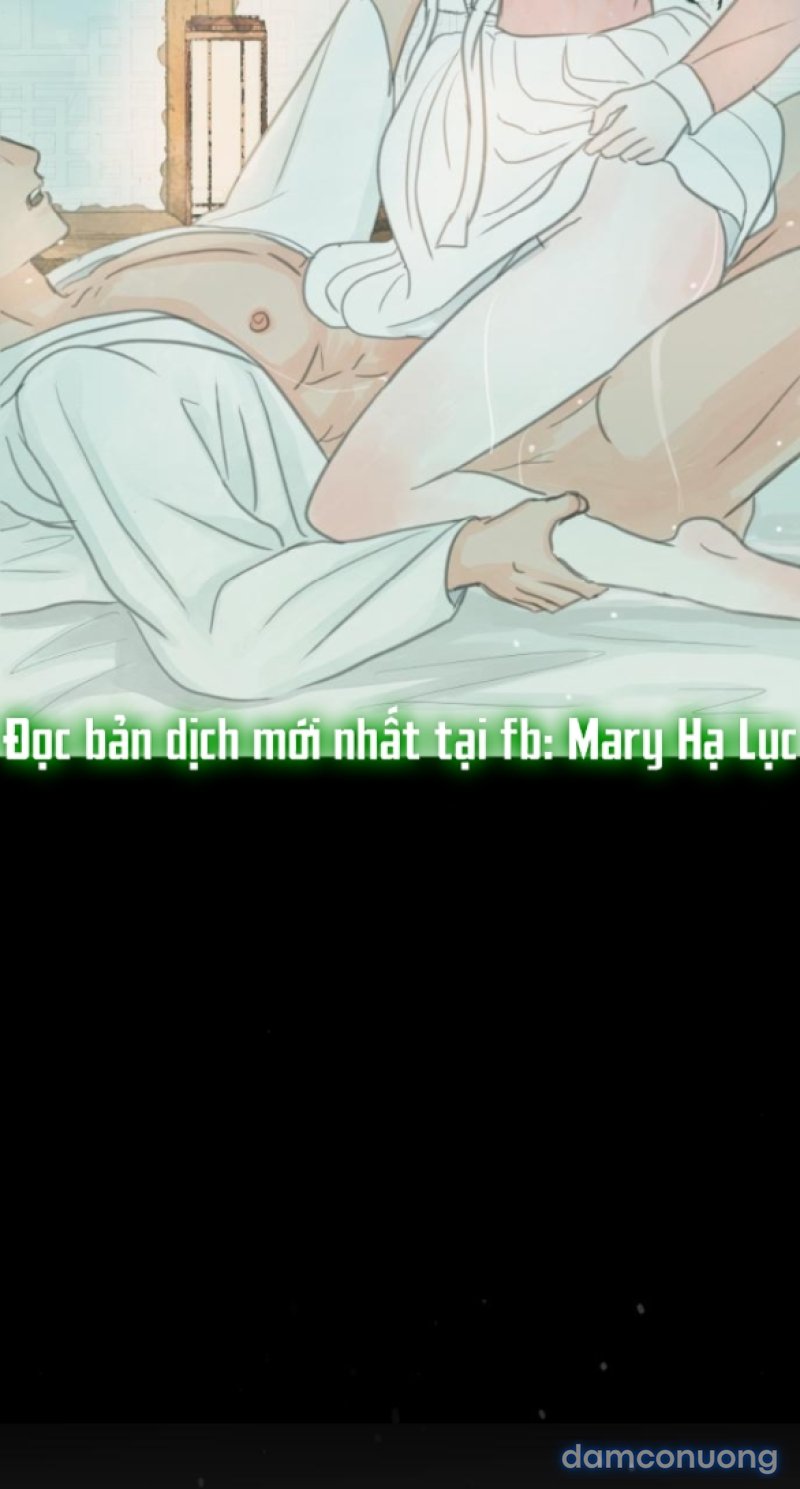 Chuyến Đi Đêm Cùng Nhà Vua 