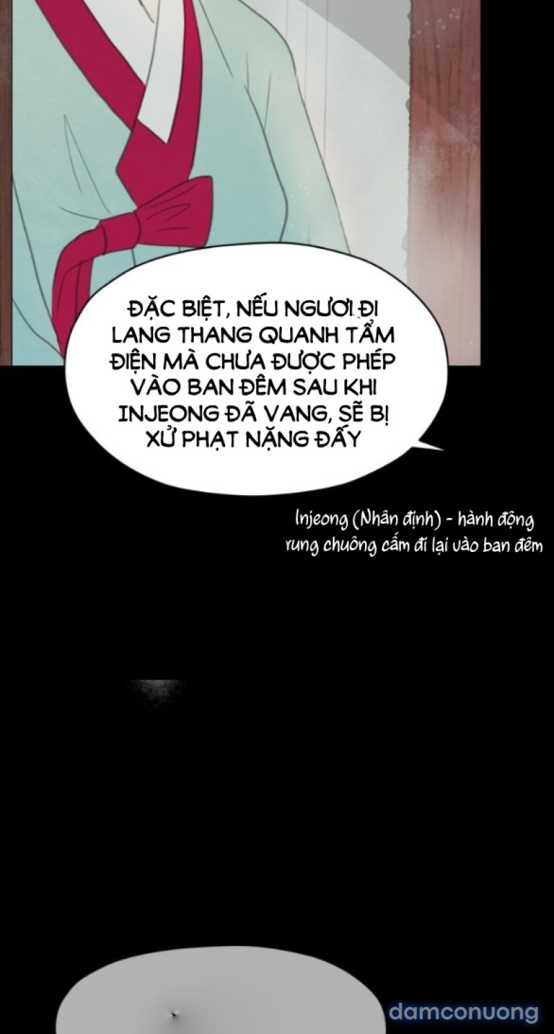 Chuyến Đi Đêm Cùng Nhà Vua 