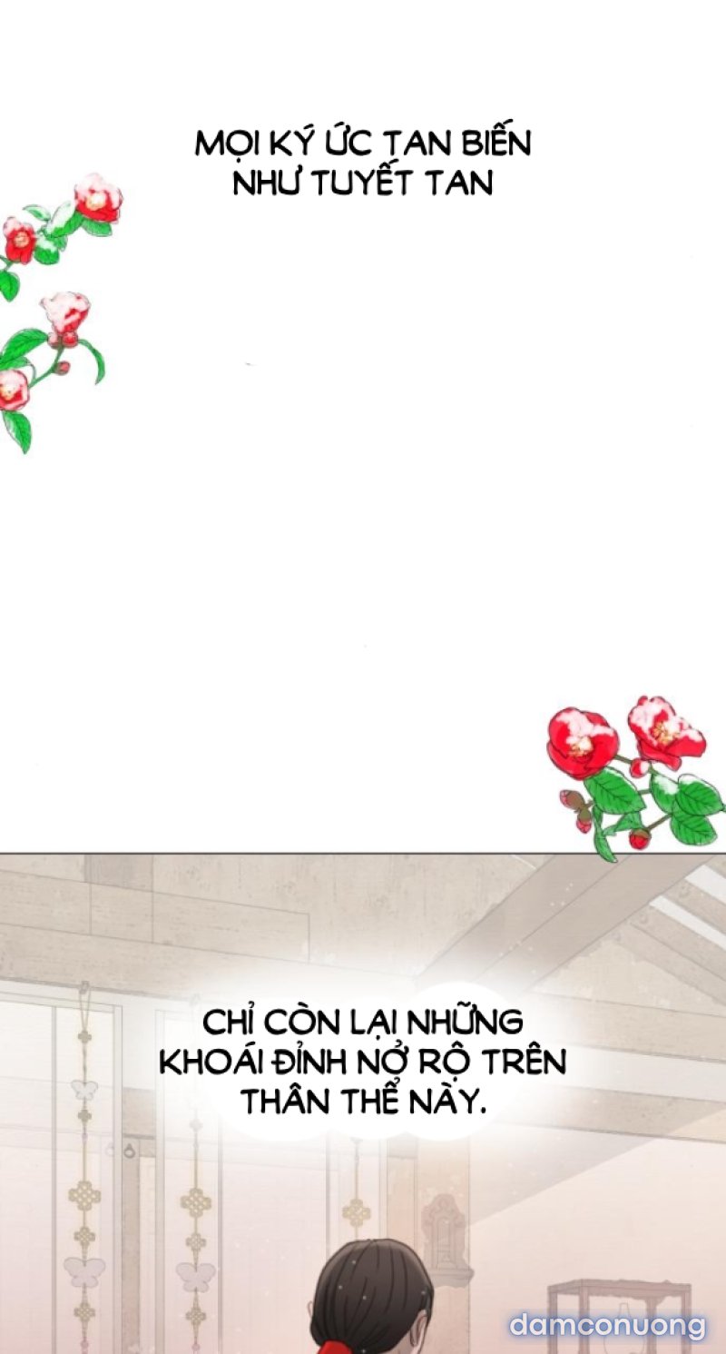 Chuyến Đi Đêm Cùng Nhà Vua 