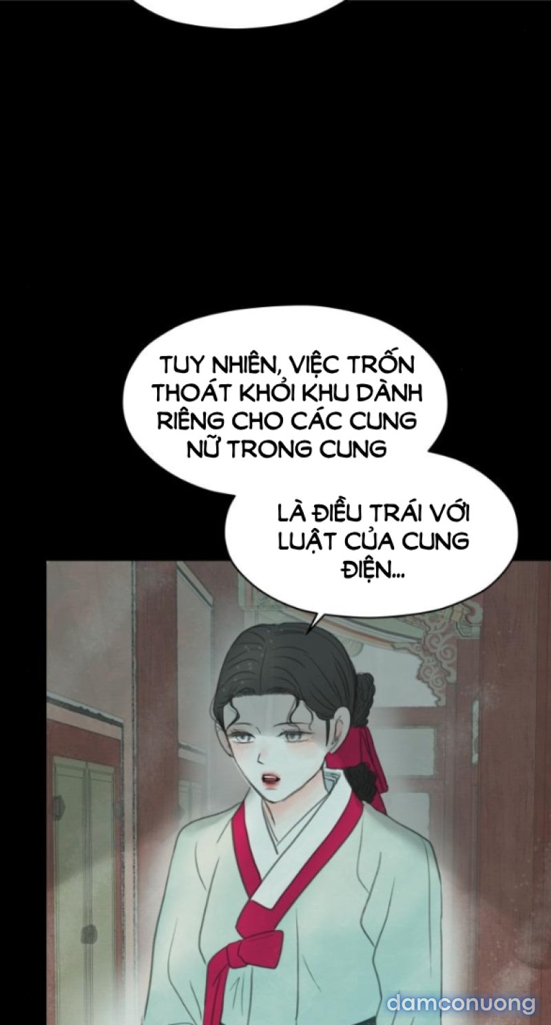 Chuyến Đi Đêm Cùng Nhà Vua 