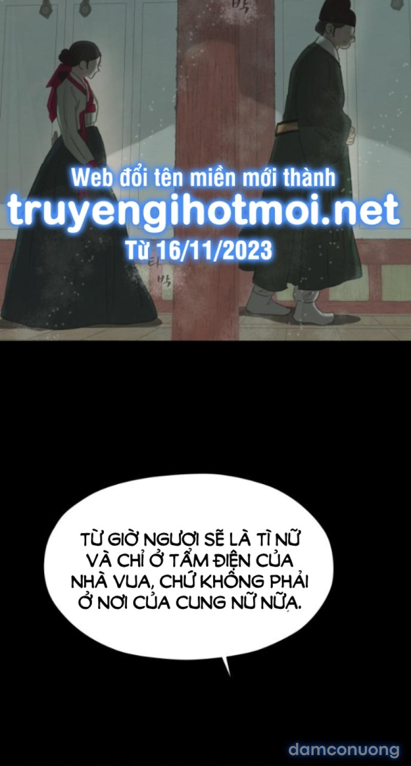 Chuyến Đi Đêm Cùng Nhà Vua 