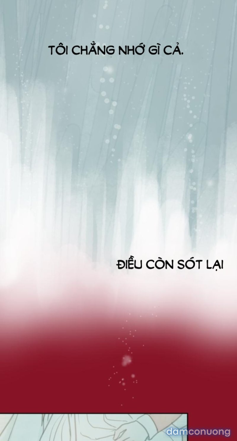 Chuyến Đi Đêm Cùng Nhà Vua 