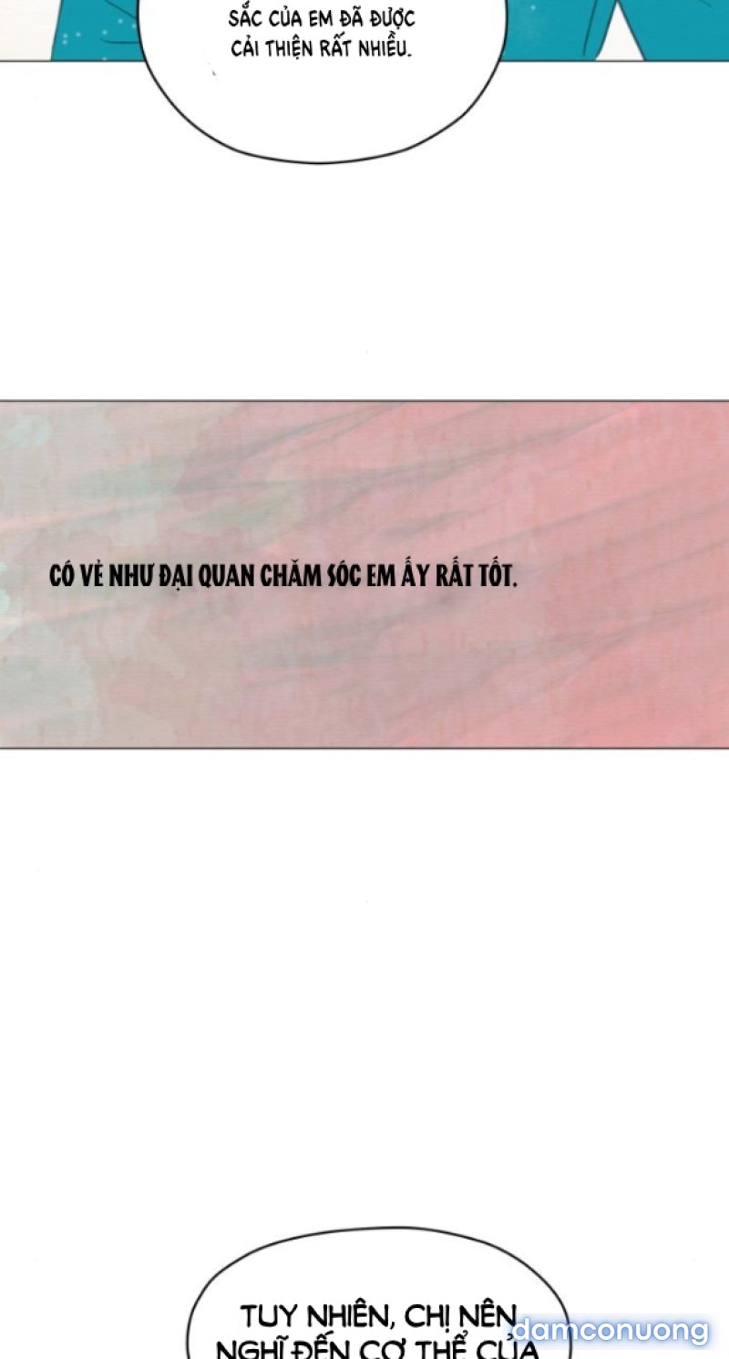 Chuyến Đi Đêm Cùng Nhà Vua 