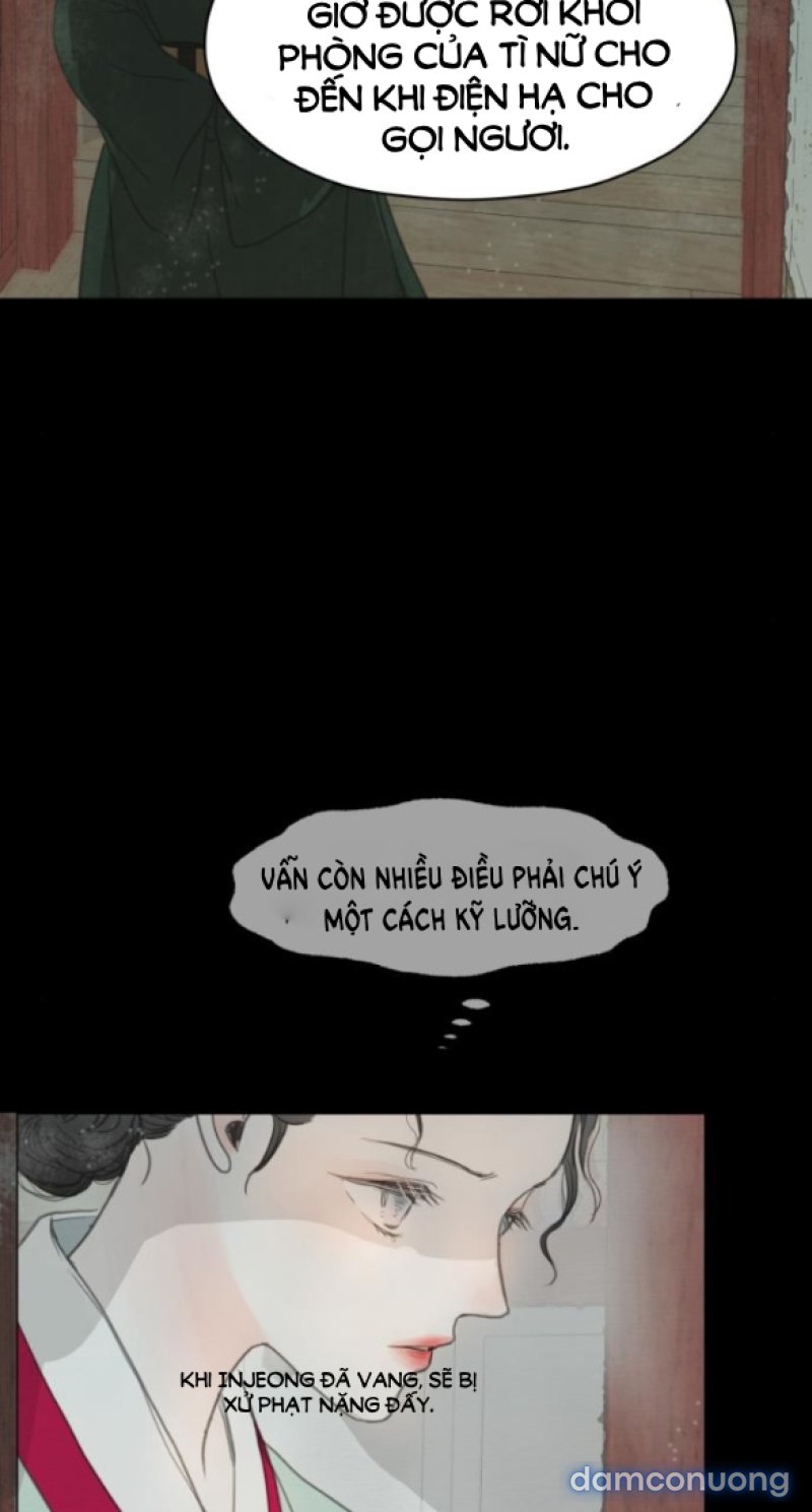 Chuyến Đi Đêm Cùng Nhà Vua 