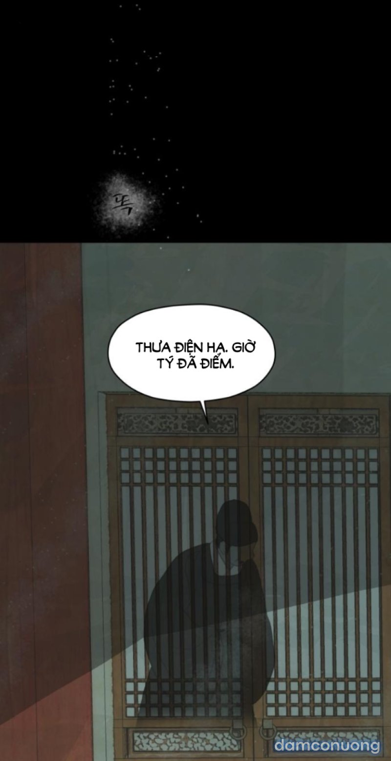 Chuyến Đi Đêm Cùng Nhà Vua 