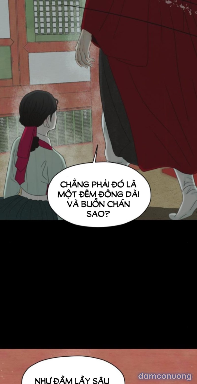 Chuyến Đi Đêm Cùng Nhà Vua 