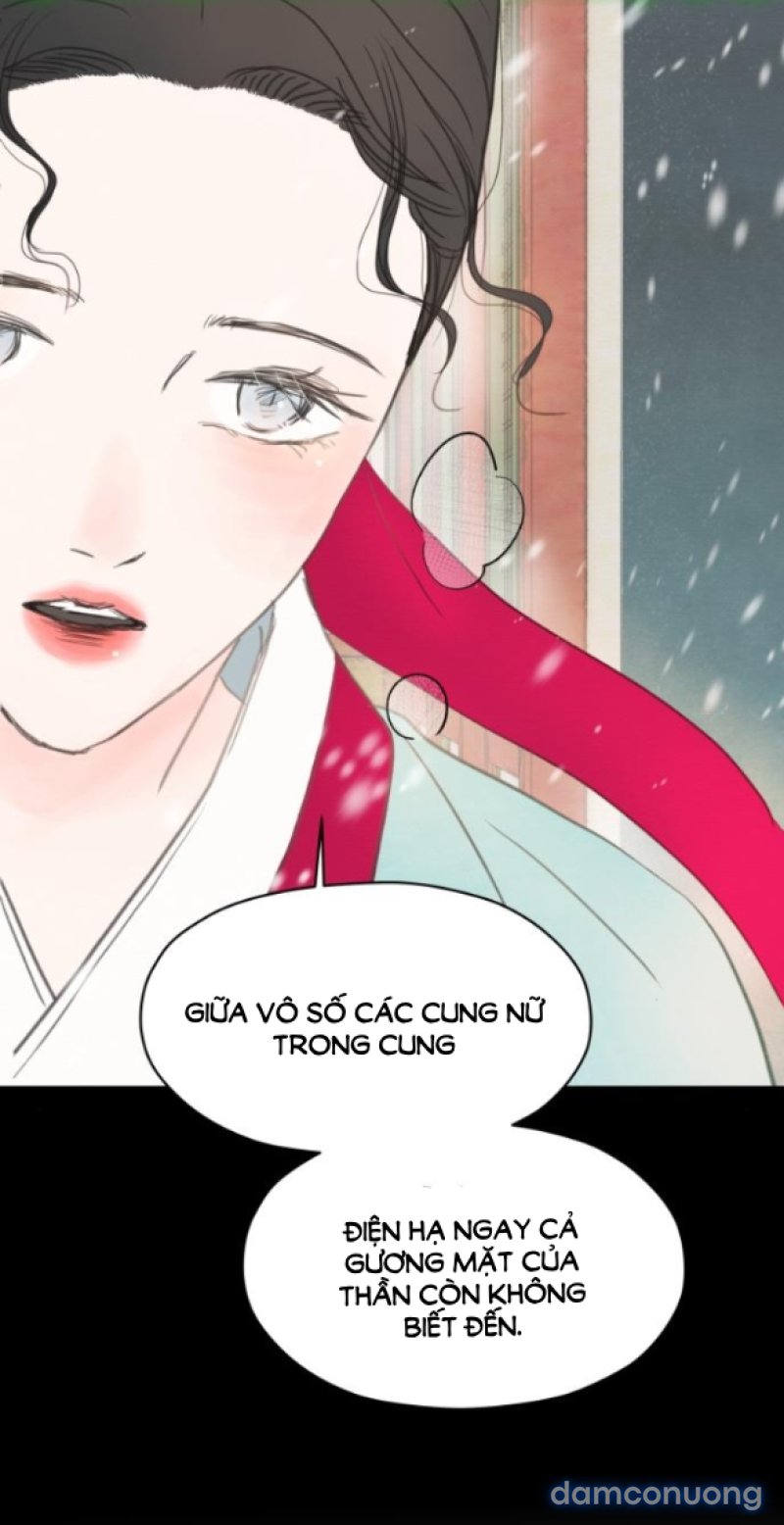 Chuyến Đi Đêm Cùng Nhà Vua 