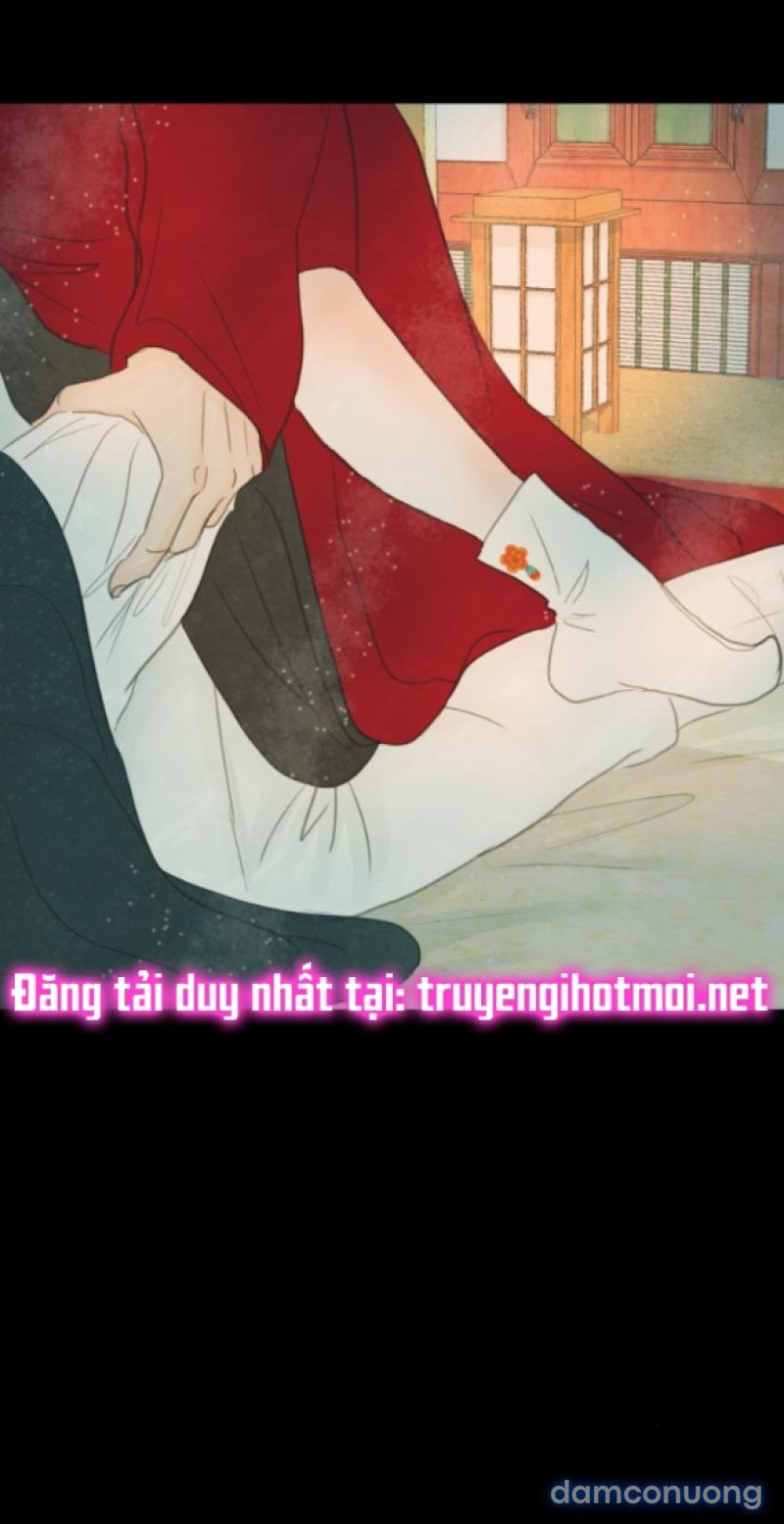 Chuyến Đi Đêm Cùng Nhà Vua 