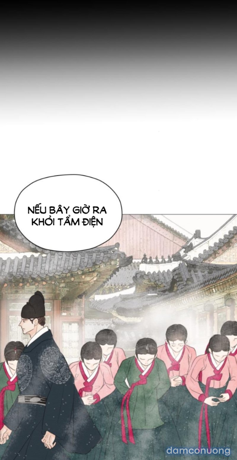 Chuyến Đi Đêm Cùng Nhà Vua 