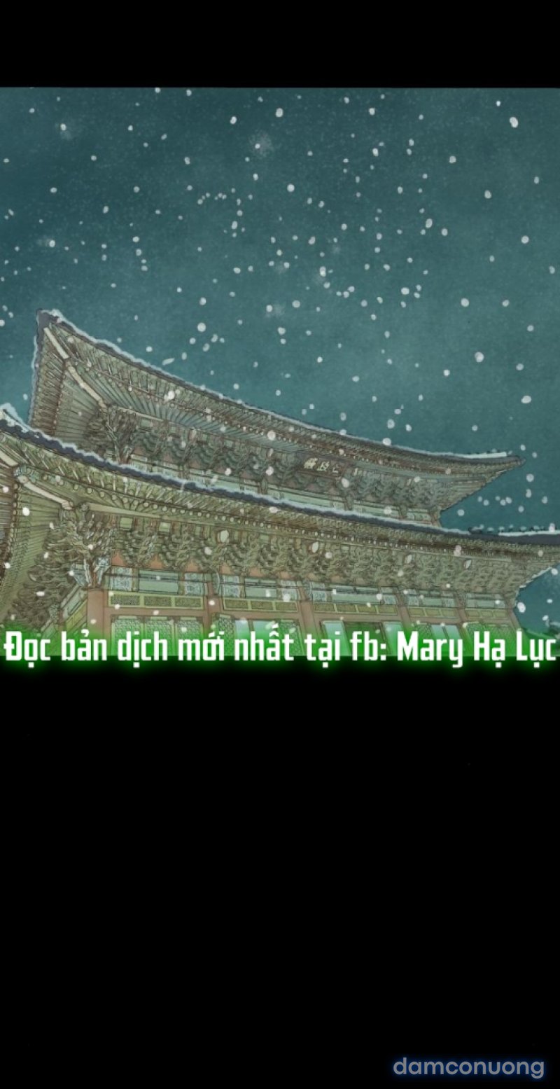 Chuyến Đi Đêm Cùng Nhà Vua 
