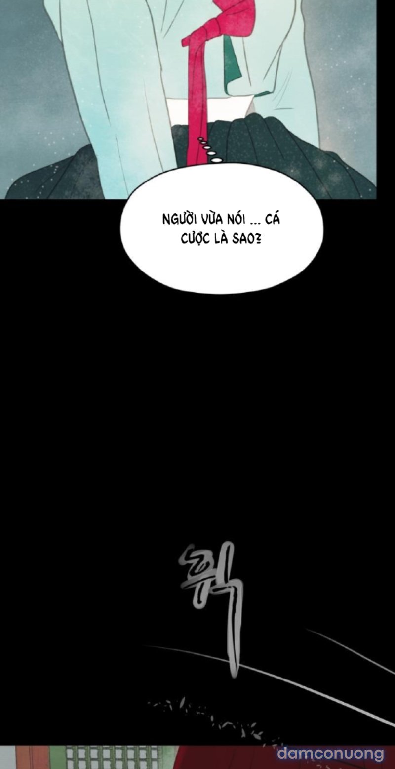 Chuyến Đi Đêm Cùng Nhà Vua 