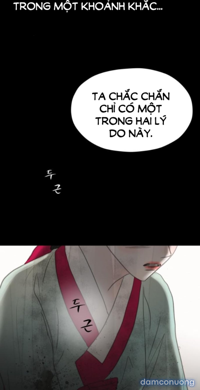 Chuyến Đi Đêm Cùng Nhà Vua 