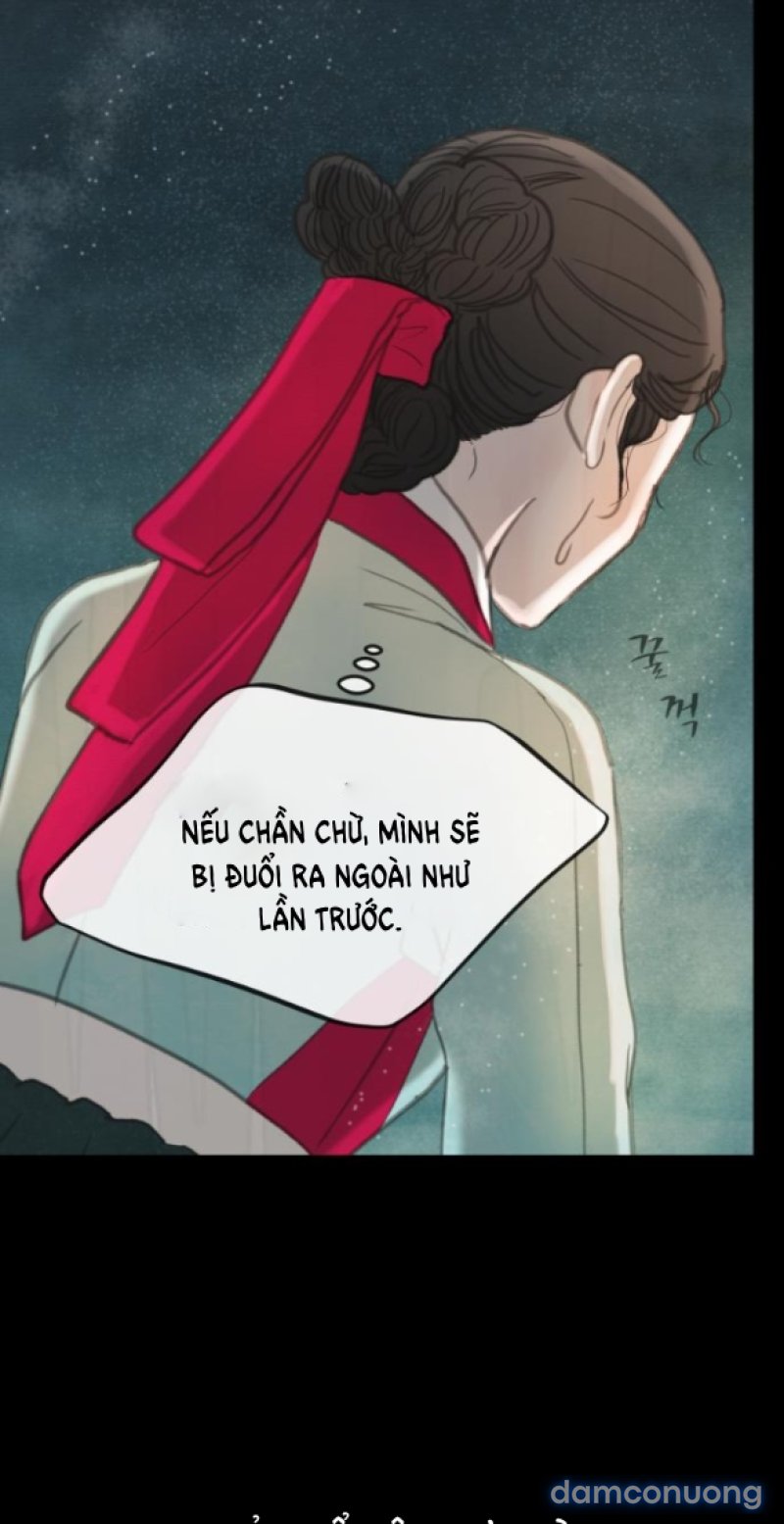 Chuyến Đi Đêm Cùng Nhà Vua 