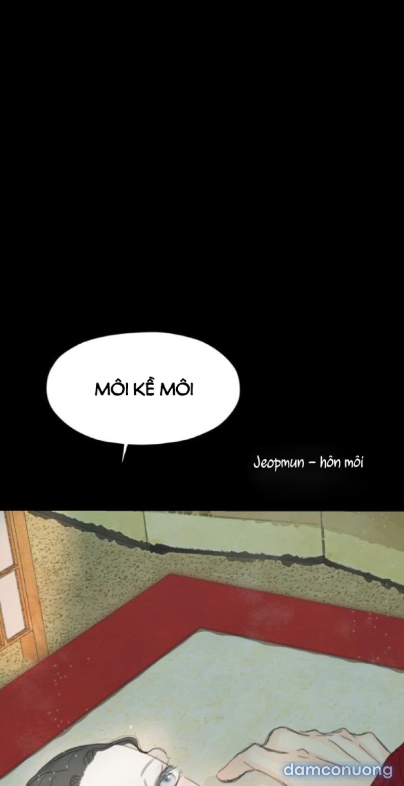Chuyến Đi Đêm Cùng Nhà Vua 
