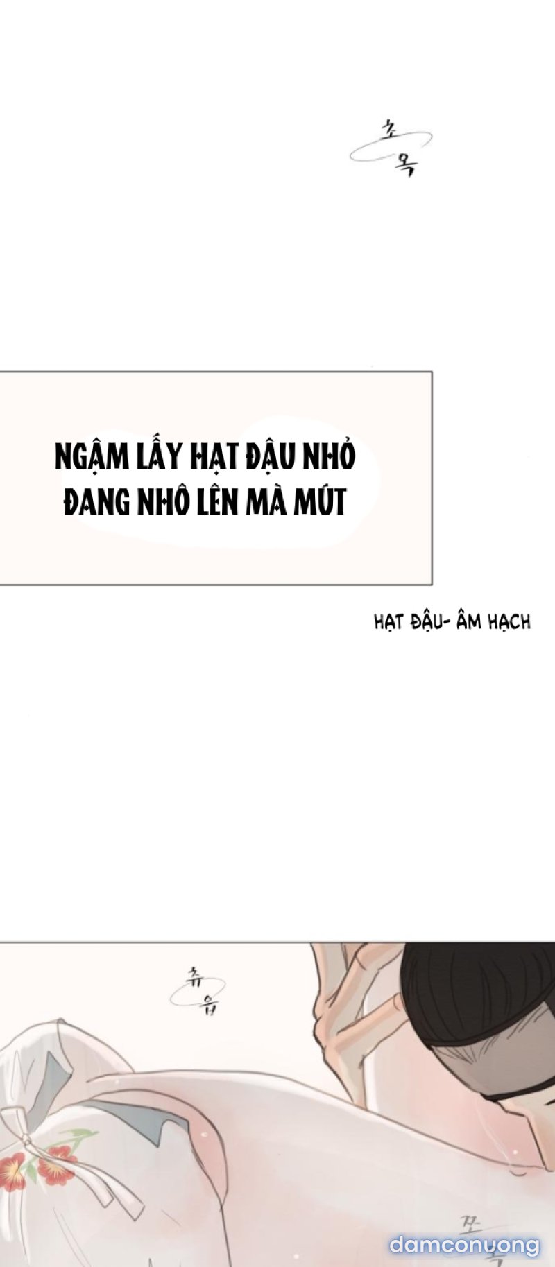 Chuyến Đi Đêm Cùng Nhà Vua 